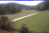 Archiv Foto Webcam Ferienhaus Carola in Hinterzarten 11:00