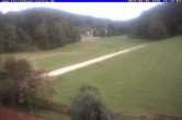 Archiv Foto Webcam Ferienhaus Carola in Hinterzarten 17:00