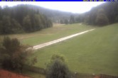 Archiv Foto Webcam Ferienhaus Carola in Hinterzarten 11:00
