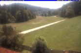 Archiv Foto Webcam Ferienhaus Carola in Hinterzarten 11:00