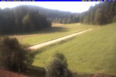 Archiv Foto Webcam Ferienhaus Carola in Hinterzarten 07:00