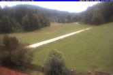 Archiv Foto Webcam Ferienhaus Carola in Hinterzarten 11:00