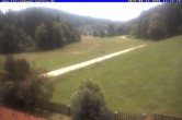 Archiv Foto Webcam Ferienhaus Carola in Hinterzarten 11:00