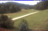 Archived image Webcam Holiday lodge Carola at Hinterzarten 11:00