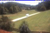 Archived image Webcam Holiday lodge Carola at Hinterzarten 13:00