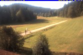 Archiv Foto Webcam Ferienhaus Carola in Hinterzarten 08:00