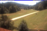 Archiv Foto Webcam Ferienhaus Carola in Hinterzarten 12:00