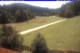 Archiv Foto Webcam Ferienhaus Carola in Hinterzarten 11:00
