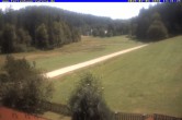 Archiv Foto Webcam Ferienhaus Carola in Hinterzarten 13:00