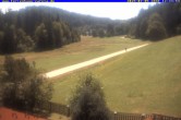 Archiv Foto Webcam Ferienhaus Carola in Hinterzarten 11:00