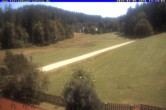 Archiv Foto Webcam Ferienhaus Carola in Hinterzarten 13:00