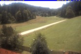 Archiv Foto Webcam Ferienhaus Carola in Hinterzarten 11:00