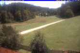 Archiv Foto Webcam Ferienhaus Carola in Hinterzarten 13:00