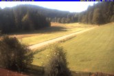 Archiv Foto Webcam Ferienhaus Carola in Hinterzarten 07:00