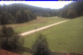 Archiv Foto Webcam Ferienhaus Carola in Hinterzarten 11:00