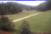 Archiv Foto Webcam Ferienhaus Carola in Hinterzarten 09:00