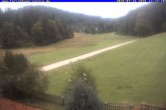 Archiv Foto Webcam Ferienhaus Carola in Hinterzarten 11:00