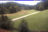 Archived image Webcam Holiday lodge Carola at Hinterzarten 11:00