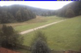 Archiv Foto Webcam Ferienhaus Carola in Hinterzarten 11:00