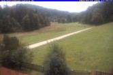Archiv Foto Webcam Ferienhaus Carola in Hinterzarten 11:00