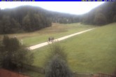 Archiv Foto Webcam Ferienhaus Carola in Hinterzarten 09:00