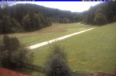 Archiv Foto Webcam Ferienhaus Carola in Hinterzarten 11:00