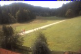 Archiv Foto Webcam Ferienhaus Carola in Hinterzarten 09:00