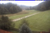 Archiv Foto Webcam Ferienhaus Carola in Hinterzarten 10:00