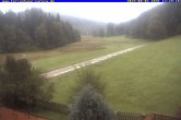 Archiv Foto Webcam Ferienhaus Carola in Hinterzarten 11:00