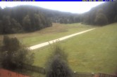 Archiv Foto Webcam Ferienhaus Carola in Hinterzarten 11:00