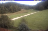 Archiv Foto Webcam Ferienhaus Carola in Hinterzarten 17:00