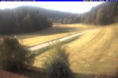 Archived image Webcam Holiday lodge Carola at Hinterzarten 07:00