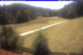 Archived image Webcam Holiday lodge Carola at Hinterzarten 11:00