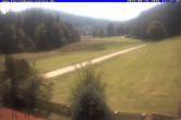 Archiv Foto Webcam Ferienhaus Carola in Hinterzarten 11:00