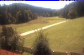 Archiv Foto Webcam Ferienhaus Carola in Hinterzarten 11:00