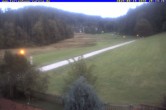 Archiv Foto Webcam Ferienhaus Carola in Hinterzarten 19:00