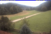 Archiv Foto Webcam Ferienhaus Carola in Hinterzarten 11:00