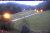 Archiv Foto Webcam Ferienhaus Carola in Hinterzarten 19:00