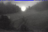 Archiv Foto Webcam Ferienhaus Carola in Hinterzarten 23:00