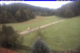 Archiv Foto Webcam Ferienhaus Carola in Hinterzarten 10:00