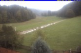 Archiv Foto Webcam Ferienhaus Carola in Hinterzarten 11:00