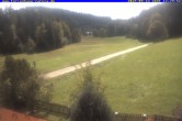 Archiv Foto Webcam Ferienhaus Carola in Hinterzarten 11:00