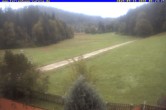 Archiv Foto Webcam Ferienhaus Carola in Hinterzarten 07:00