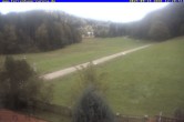 Archiv Foto Webcam Ferienhaus Carola in Hinterzarten 11:00