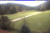 Archived image Webcam Holiday lodge Carola at Hinterzarten 11:00