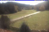Archiv Foto Webcam Ferienhaus Carola in Hinterzarten 11:00