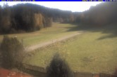 Archiv Foto Webcam Ferienhaus Carola in Hinterzarten 13:00