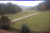 Archiv Foto Webcam Ferienhaus Carola in Hinterzarten 07:00