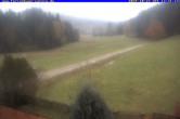 Archiv Foto Webcam Ferienhaus Carola in Hinterzarten 11:00