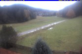 Archiv Foto Webcam Ferienhaus Carola in Hinterzarten 15:00